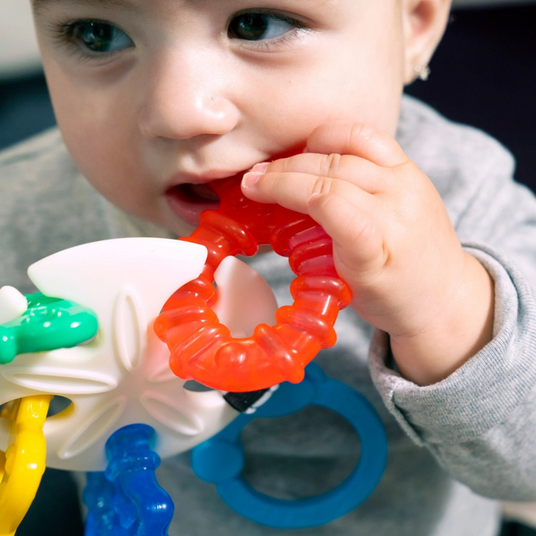 Baby Einstein Sea of Sensory Teether Toy (3m+)