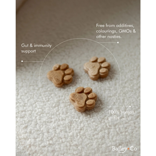 Bailey Co Freeze-dried Dissolvable Bone Broth