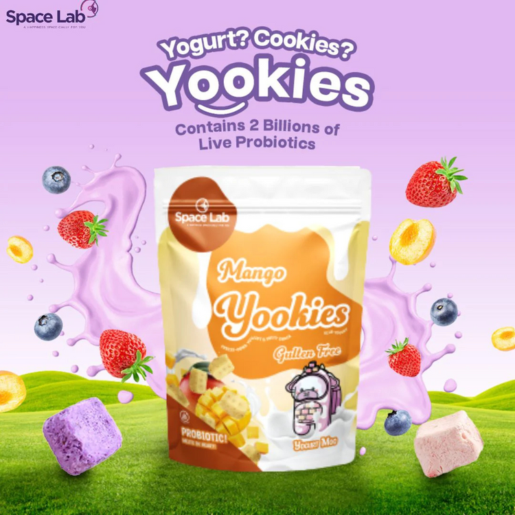 Space Lab Freeze Dried Yogurt Cookies 26g