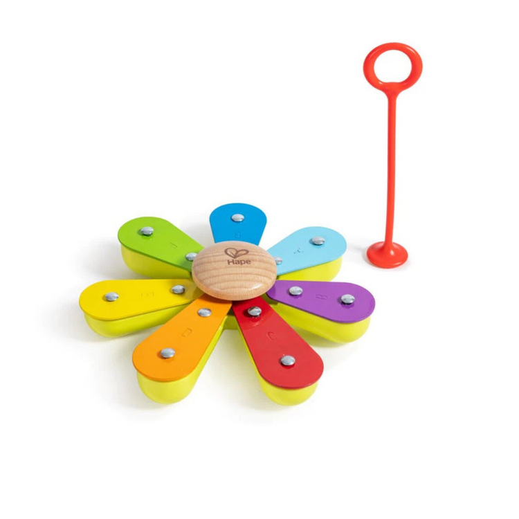 Hape 0639 Nature Band Rhythm Kit Suitable for Age 2-6 Years