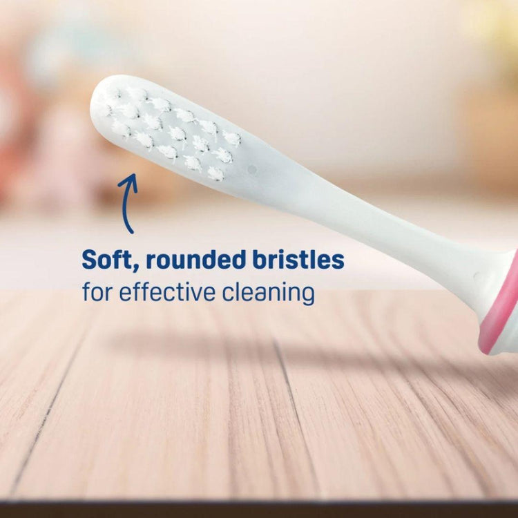 Pigeon Baby Training Toothbrush Lesson 4 (18m+)