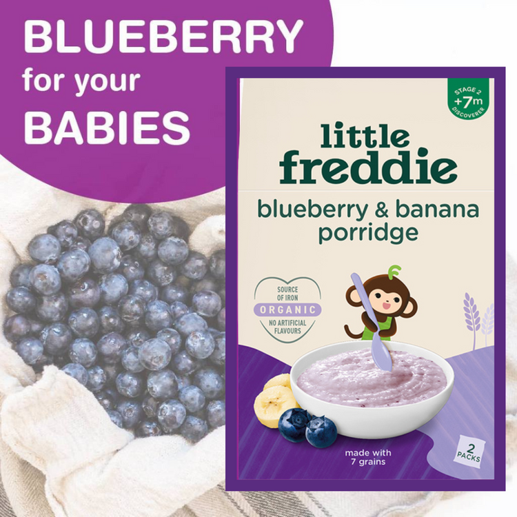 Little Freddie Organic Baby Porridge (2x80g)
