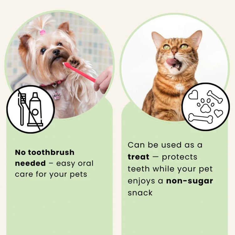 Pet Ganick Natural Oral Hygiene Dental Gel (10ml)