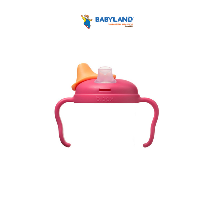 B.Box Spout Cup 8OZ - 4m+