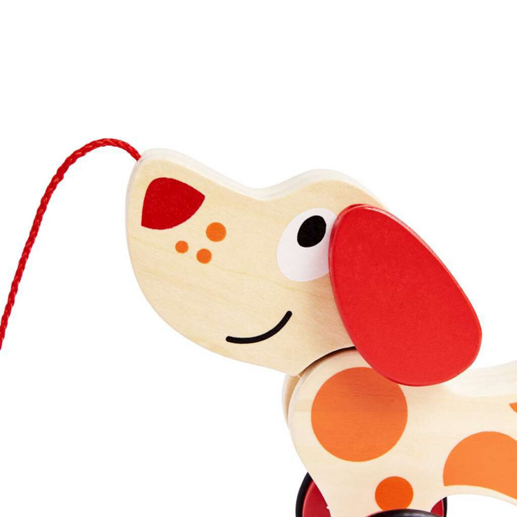Hape 0347 Walk-A-Long Puppy From 12 months