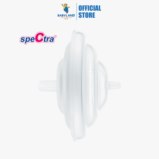 Spectra Backflow Protector (1pc)