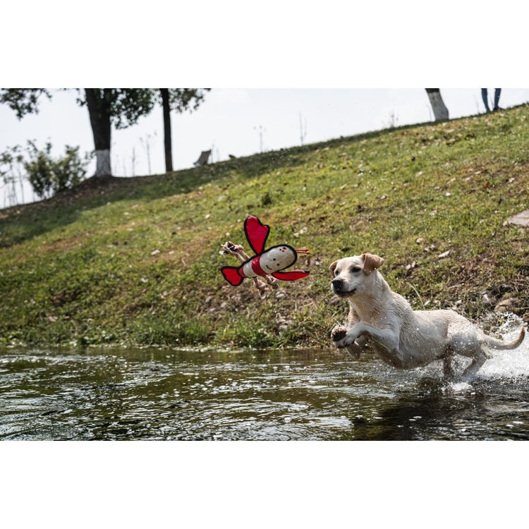 V-Pet Rough & Tough Toys - Wave Warriors - Lobster L