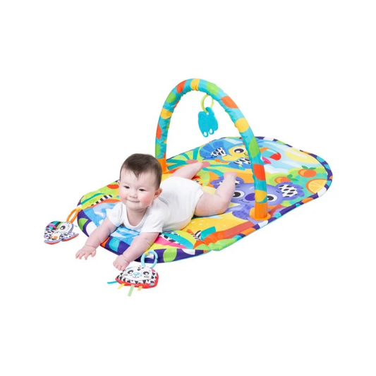 Playgro 0189024 Cozy Oasis Tummy Time Gym (0m+)