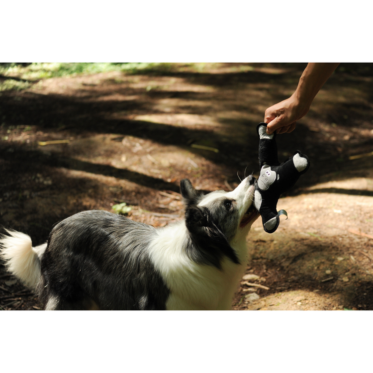 V-Pet Rough & Tough Toys - Welcome to the Jungle - Orangutan M