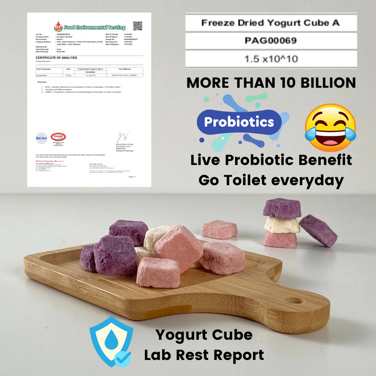 Space Lab Freeze Dried Yogurt Cookies 26g