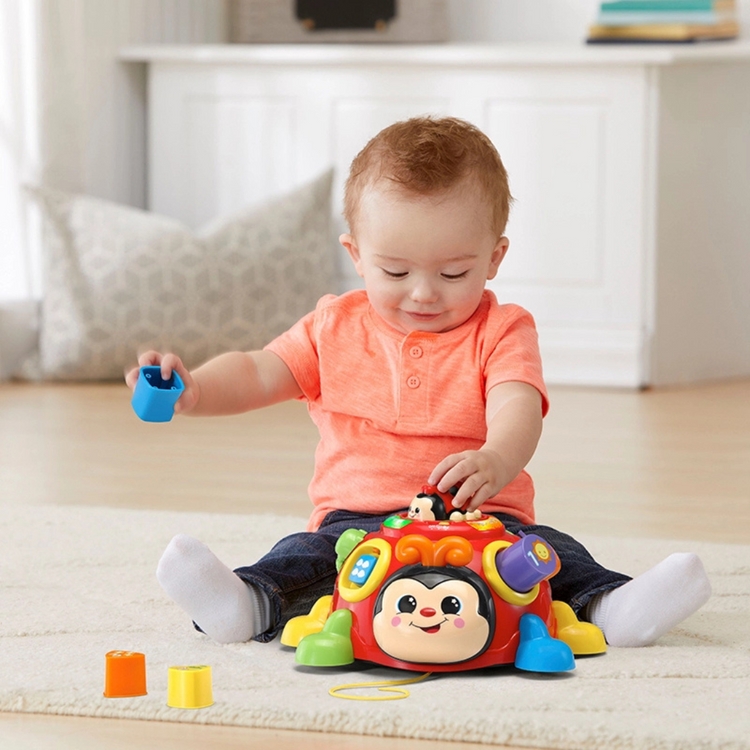 Vtech 522300 Crazy Legs Learning Bugs (12m+)