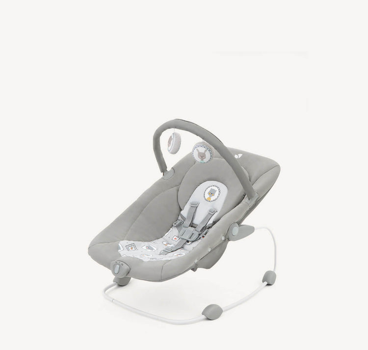 Joie Wish Bouncer - Portrait (Birth to 9kg)