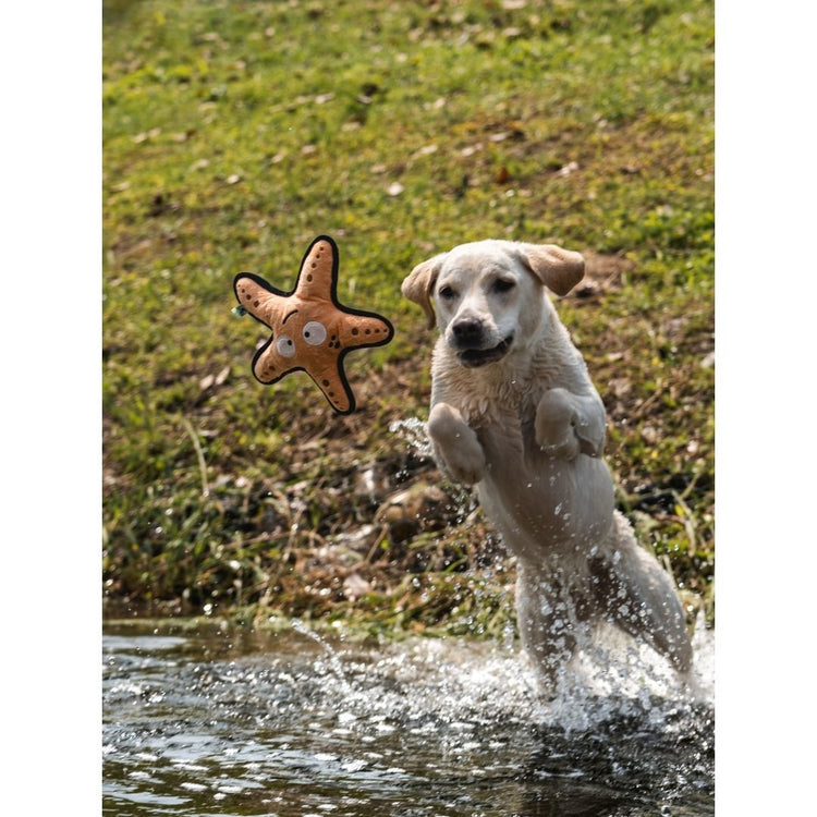 V-Pet Rough & Tough Toys - Wave Warriors - Starfish M