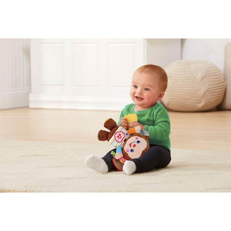 Vtech Swing & Sing Monkey (3m+)