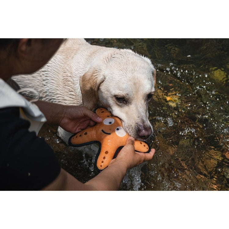 V-Pet Rough & Tough Toys - Wave Warriors - Starfish M