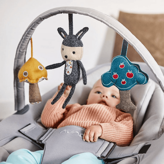 [PRE-ORDER] Nuna Leaf Series Toybar - Reversible