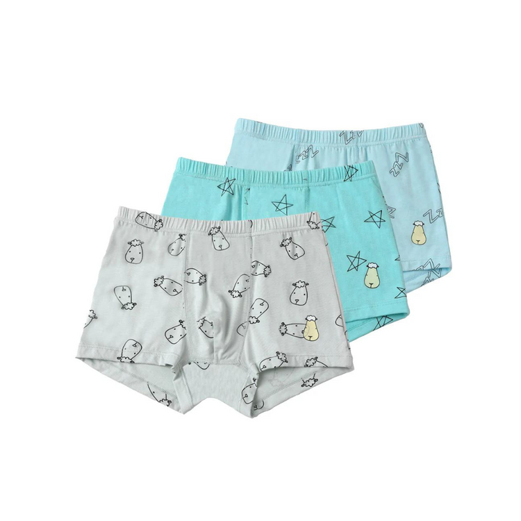 Baa Baa Sheepz Boys Boxer C009-M 3 Pcs - 6T