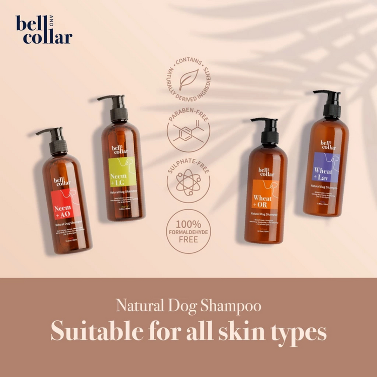 Bell & Collar Neem + Anti-Oxidants Natural Flea & Tick Shampoo for pets 350ml (for skin problems, suitable for daily use)