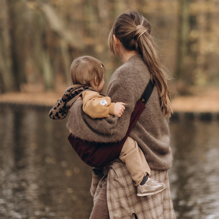 Wildride Toddler Carrier - Merlot