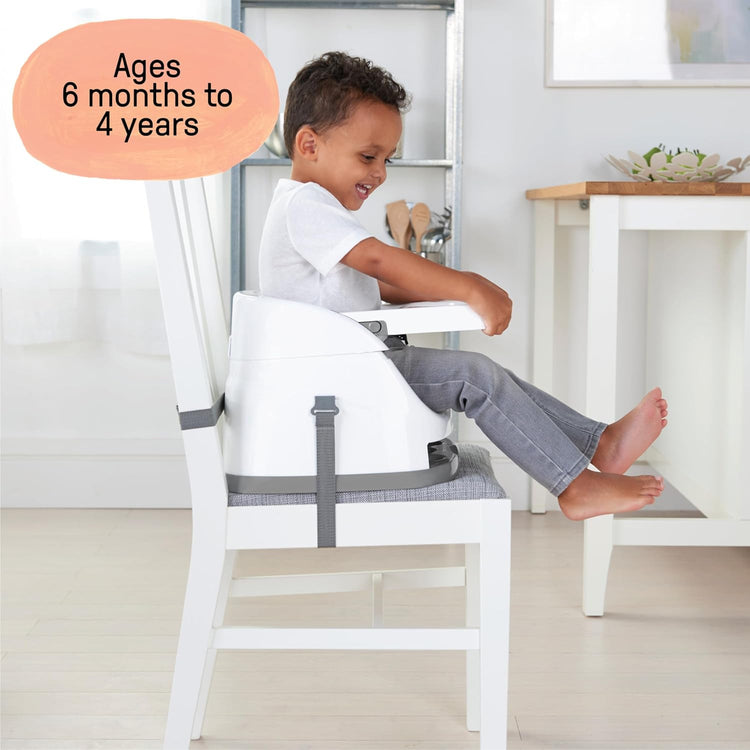 Ingenuity Baby Base 2-In-1 Seat (6m+)