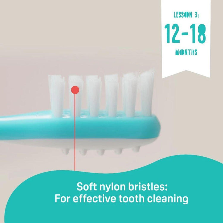 Pigeon Baby Training Toothbrush Lesson 3 (12m+)