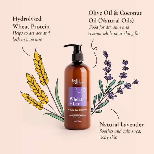Bell & Collar Wheat + Lavender natural pet shampoo 350ml : itch relief/sensitive skin/anti flea