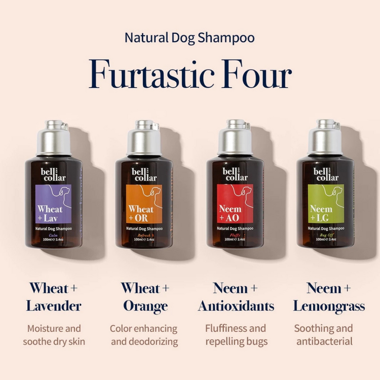 Bell & Collar Furtastic Natural Pet Shampoo 100ml