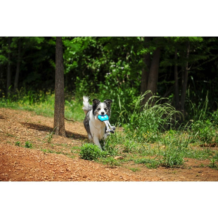 V-Pet Rough & Tough Toys - Wave Warriors - Octopus M