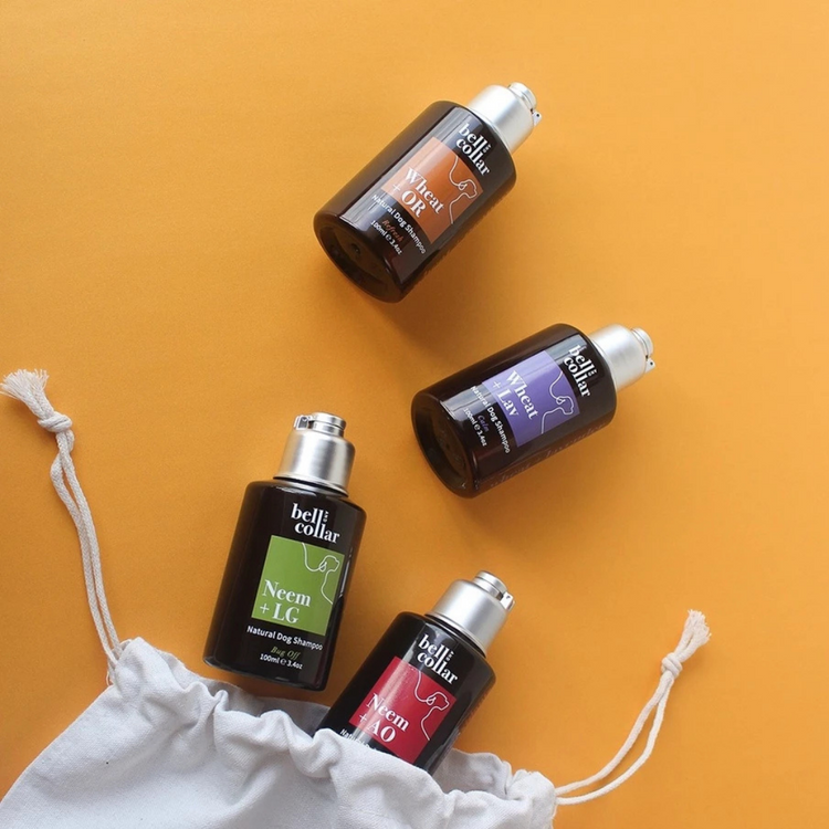 Bell & Collar Furtastic Natural Pet Shampoo 100ml