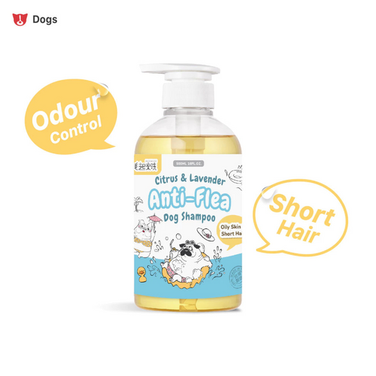 Maoup Citrus & Lavender Anti-Flea Shampoo (500ml)