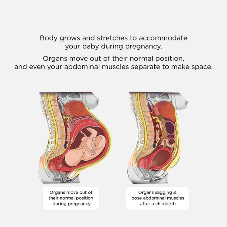 Lunavie Premium Postpartum Abdominal Binder