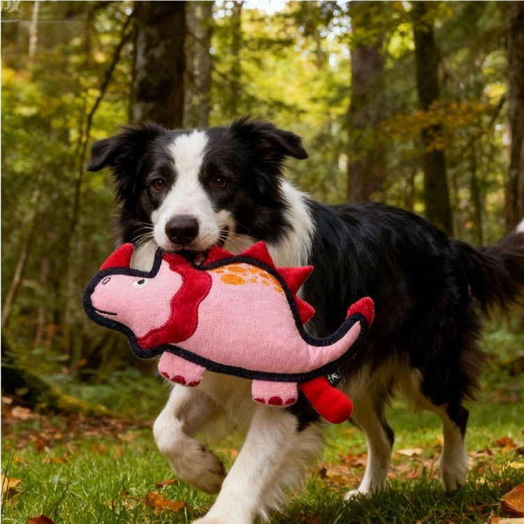V-Pet Rough & Tough Toys - Jurassic Echo - Triceratops-Pink M
