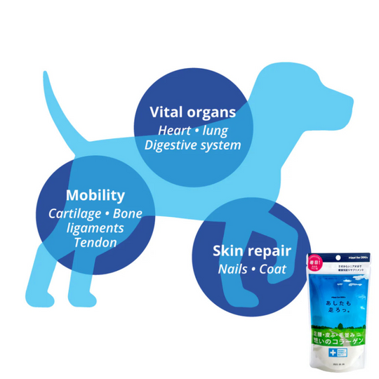 Nippi Collagen for Dogs (40g/160g)