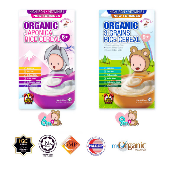 MommyJ Organic Rice Cereal Porridge 120g (6m+)