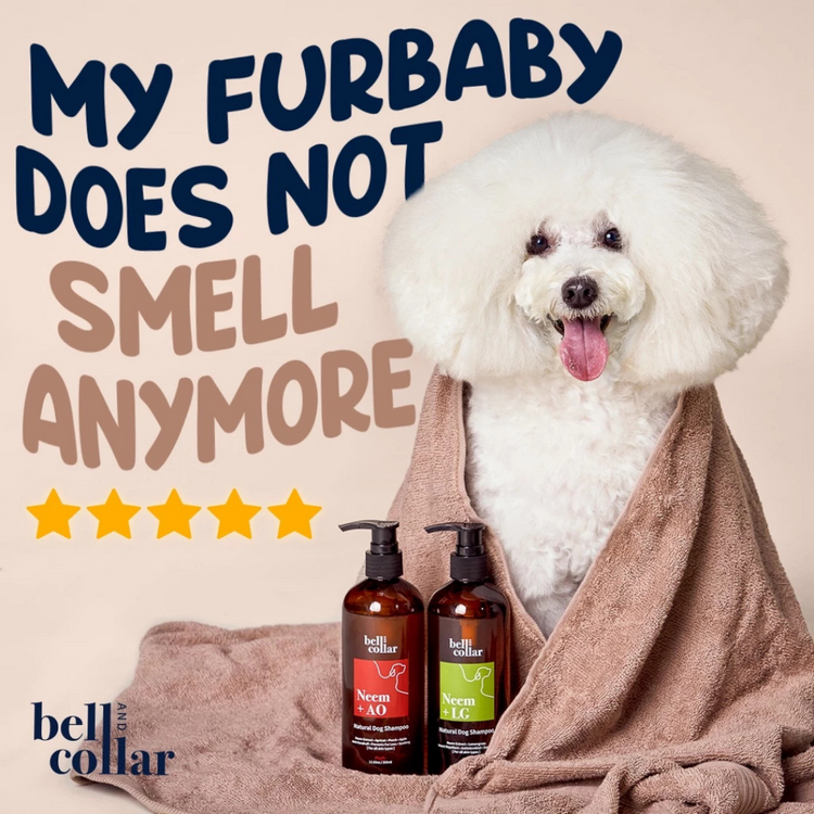 Bell & Collar Neem + Anti-Oxidants Natural Flea & Tick Shampoo for pets 350ml (for skin problems, suitable for daily use)