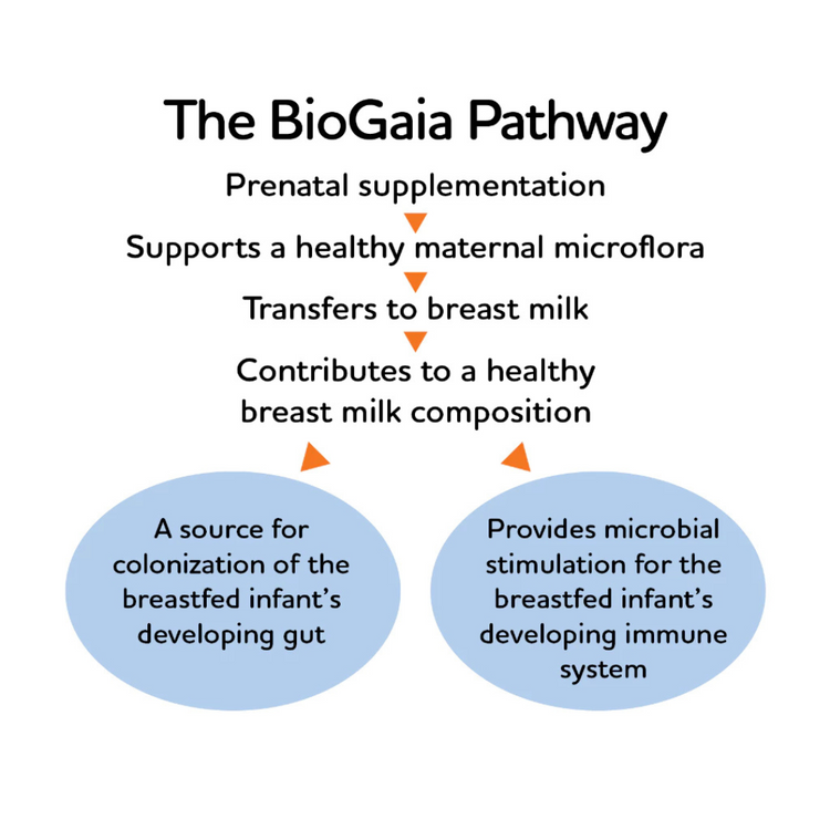 BioGaia Probiotic Chewable Tablets 30’s