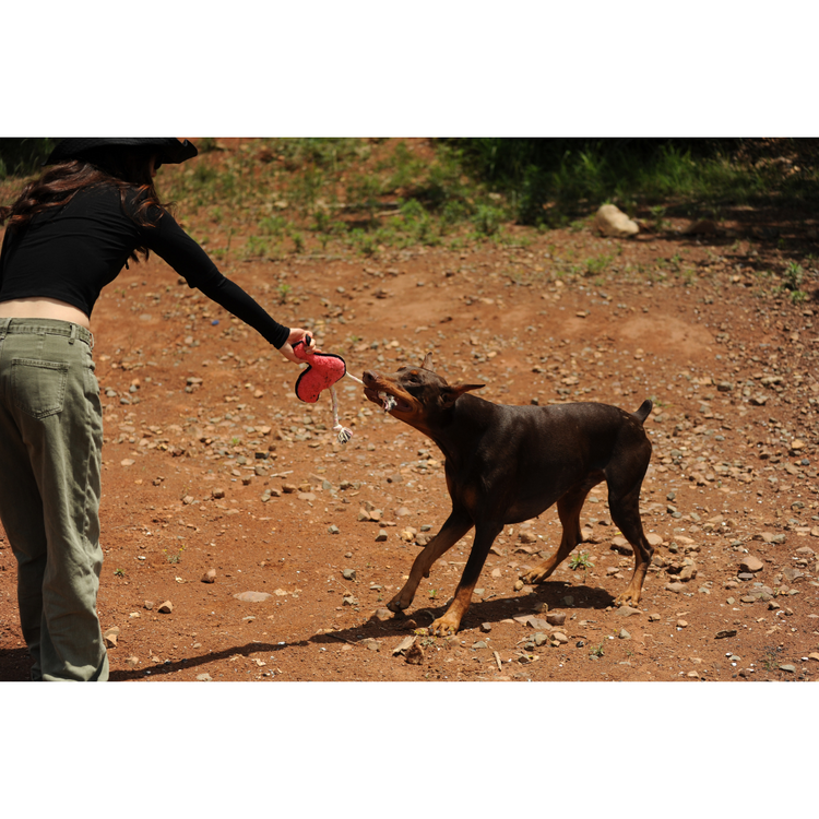 V-Pet Rough & Tough Toys - Welcome to the Jungle - Flamingo M