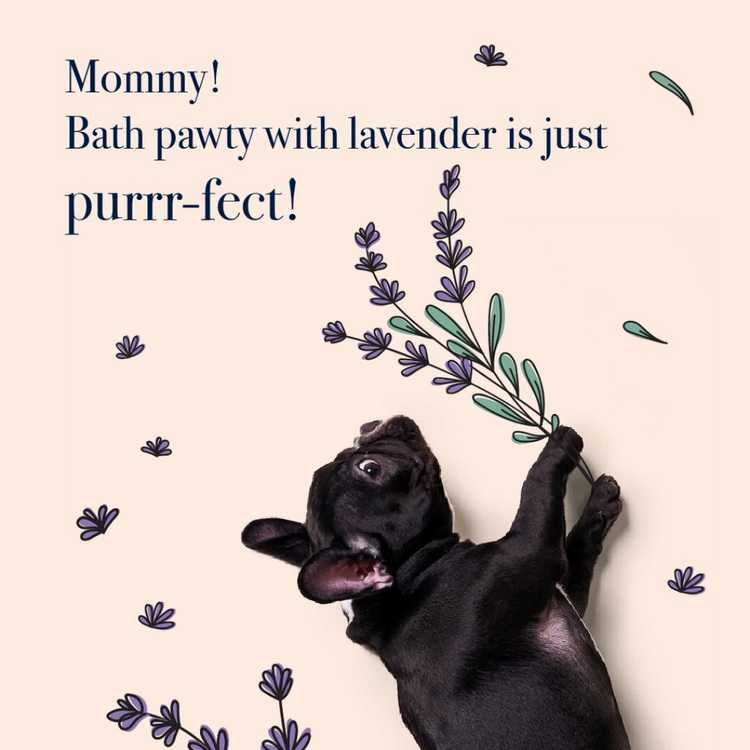 Bell & Collar Wheat + Lavender natural pet shampoo 350ml : itch relief/sensitive skin/anti flea