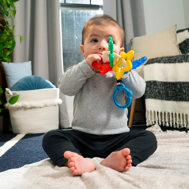 Baby Einstein Sea of Sensory Teether Toy (3m+)