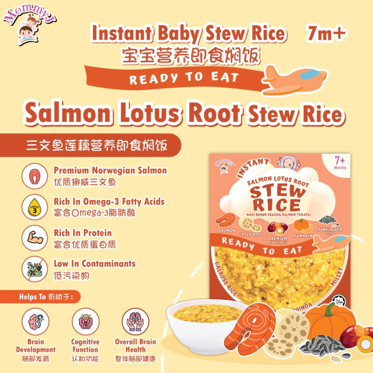 MommyJ Baby Instant Stew Rice 240g (7m+)