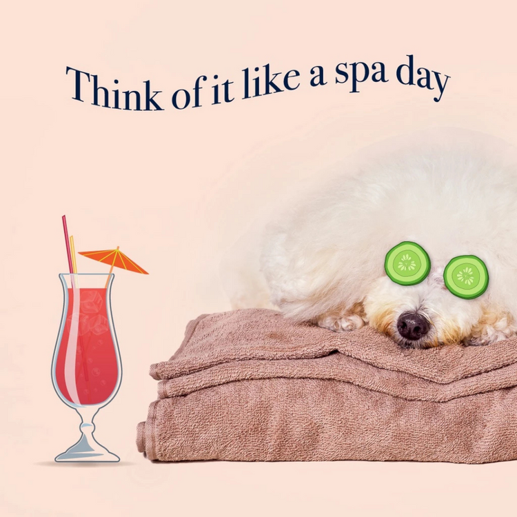 Bell & Collar Neem + Anti-Oxidants Natural Flea & Tick Shampoo for pets 350ml (for skin problems, suitable for daily use)