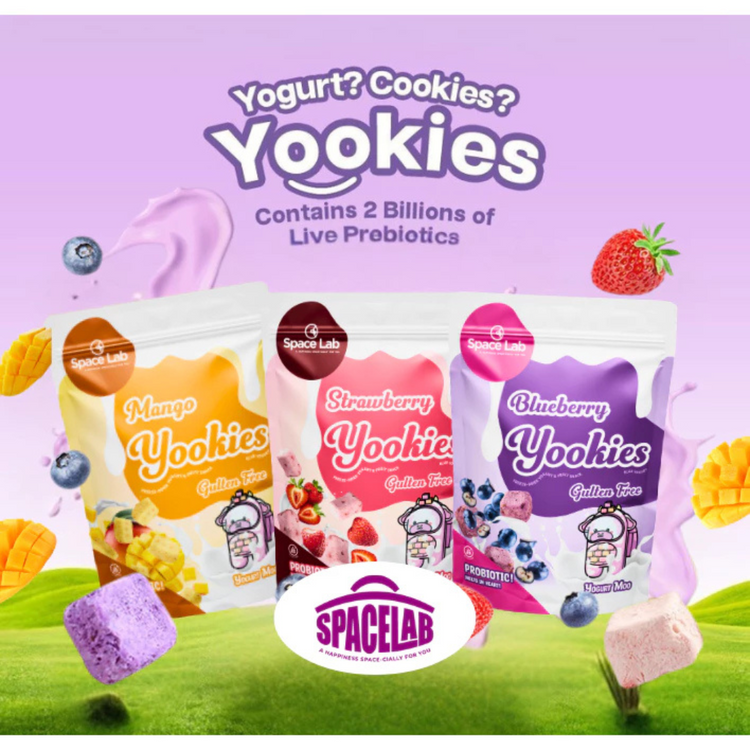 Space Lab Freeze Dried Yogurt Cookies 26g