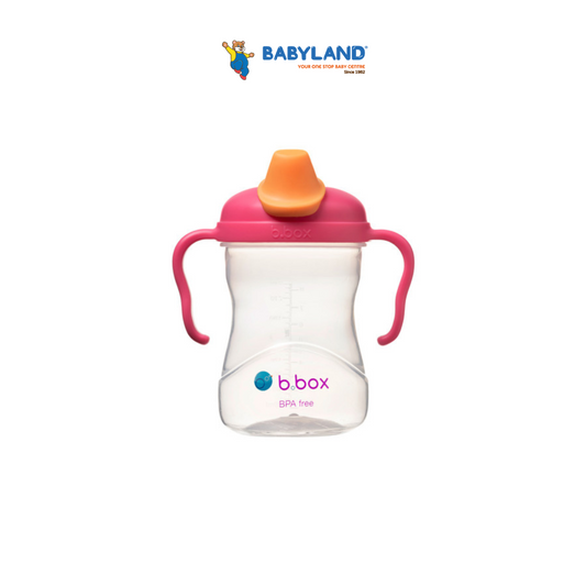 B.Box Spout Cup 8OZ - 4m+