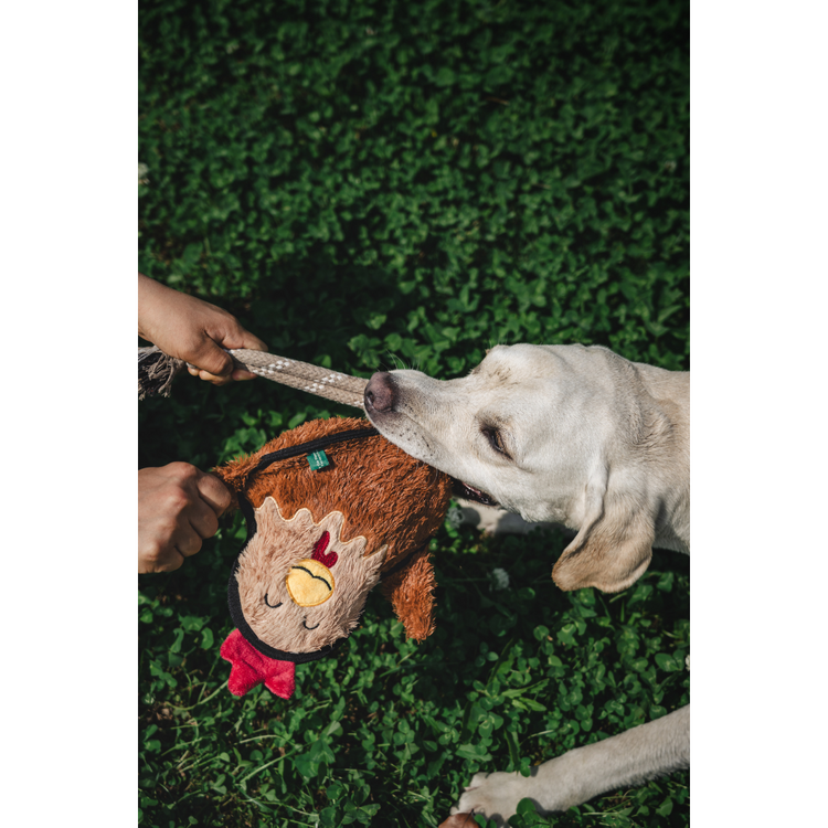 V-Pet Rough & Tough Toys - Welcome to the Farm - Hen L