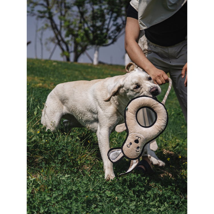 V-Pet Rough & Tough Toys - Welcome to the Farm - Rabbit