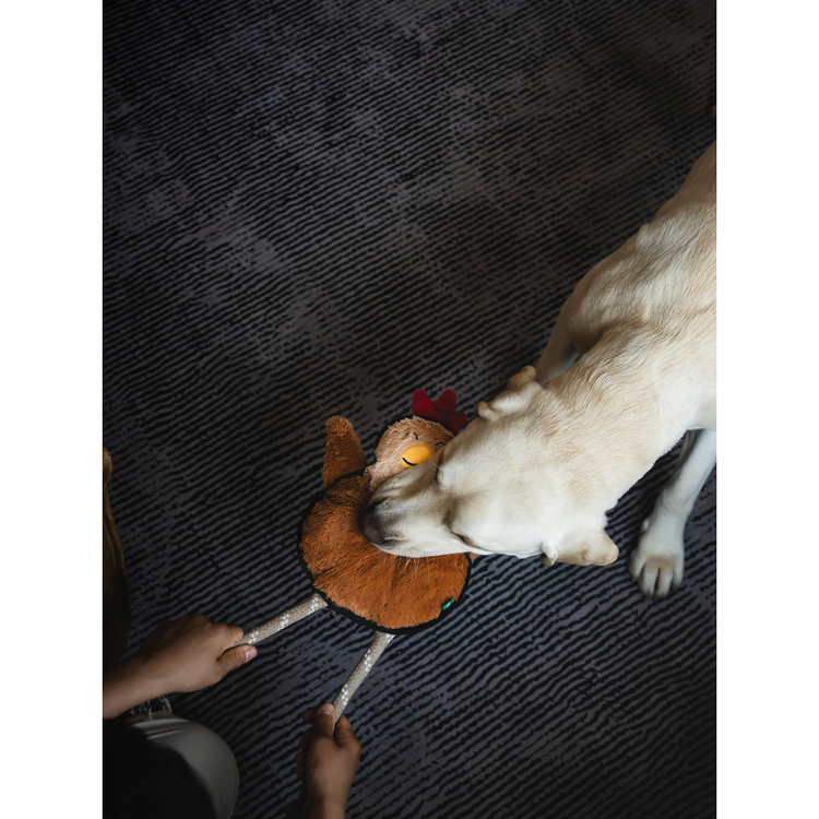 V-Pet Rough & Tough Toys - Welcome to the Farm - Hen L