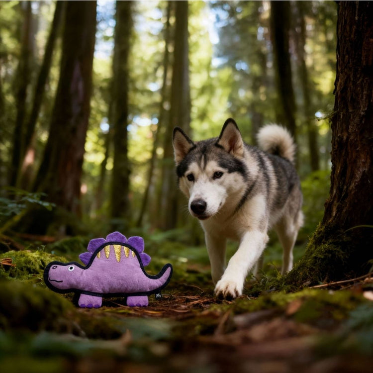 V-Pet Rough & Tough Toys - Jurassic Echo - Stegosaurus- Purple M