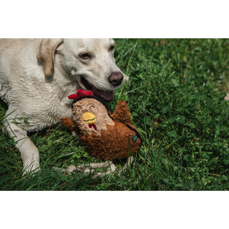 V-Pet Rough & Tough Toys - Welcome to the Farm - Hen L