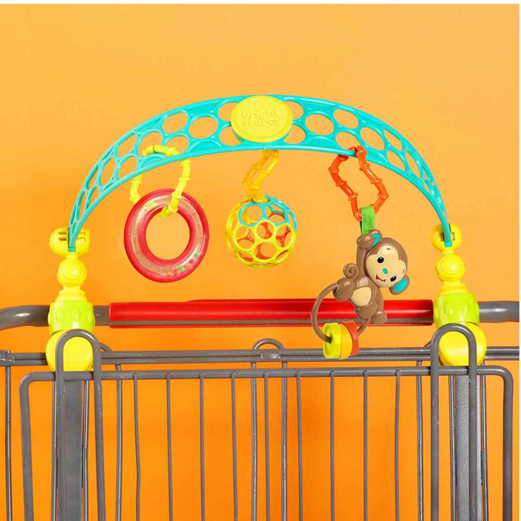 Bright Starts Flex N Go Activity Arch Take Along Toy (0m+)