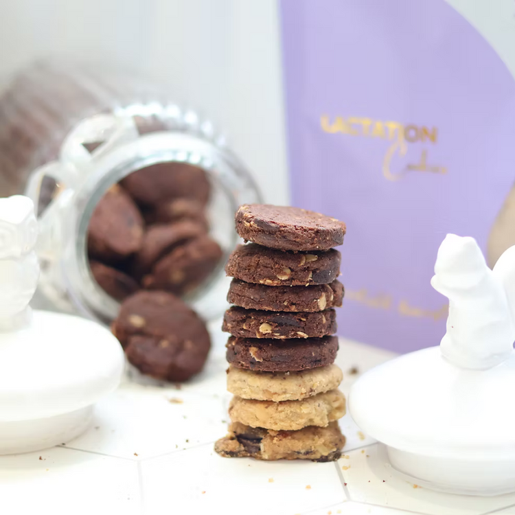 SLB Dark Chocolate Chip Lactation Cookies 200g